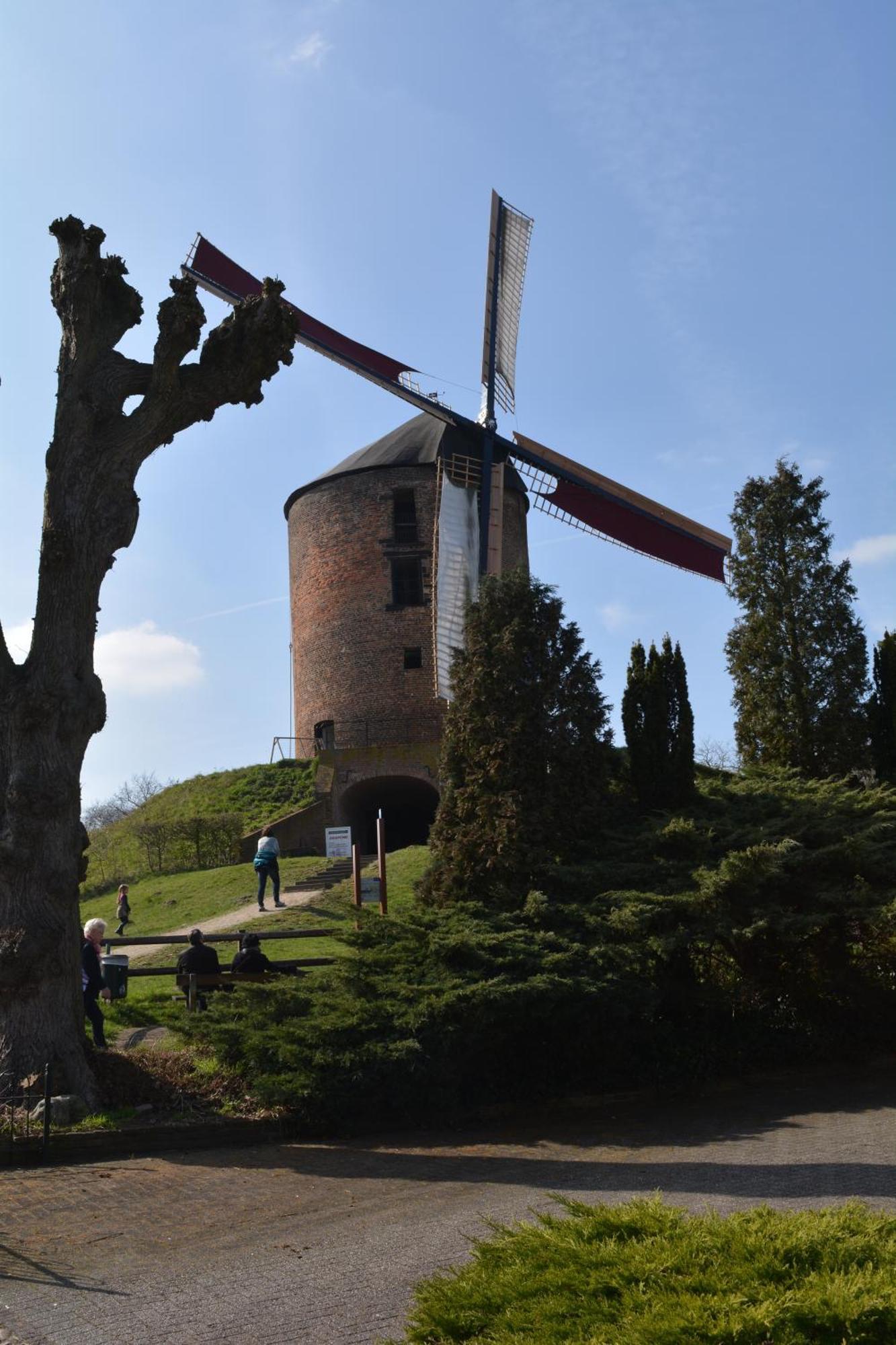 Loerbeek Beekse Brink Bed & Breakfast エクステリア 写真